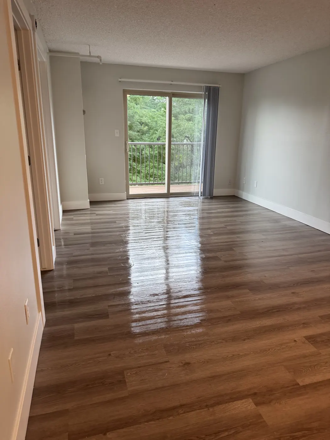 Spotless empty room with daylight on clean floors